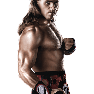 WWE13 Render ShawnMichaels