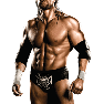 WWE13 Render TripleH