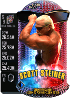 Scott Steiner