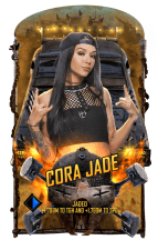 Supercard corajade s9 octane2 24592 216