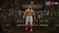 WWE2K14 BigJohnStudd