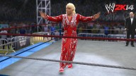 WWE2K14 RicFlairRetroRing