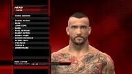 WWE2K14 CM Punk Superstar Head