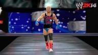 WWE2K14 Dolph Superstar Threads2