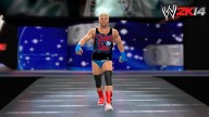 WWE2K14 Dolph Superstar Threads2