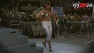 WWE2K14 Jake The Snake 1