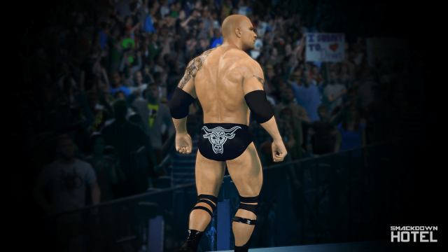 WWE2K15 Achievements16 WWE2K15 Achievements16