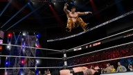 WWE2K15 PC Fandango