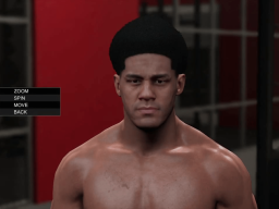 WWE2K15 SuperstarStudio Screen45