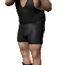 SvR2011 Render BigShow