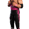SvR2011 Render BretHart