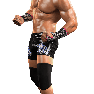 SvR2011 Render DolphZiggler