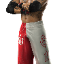 SvR2011 Render ReyMysterio