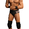 SvR2011 Render TedDiBiase