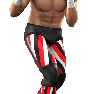 SvR2011 Render Terry Funk