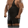 SvR2009 Render BigShow