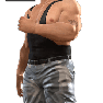 SvR2009 Render BushwhackerButch