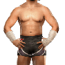 SvR2009 Render Carlito