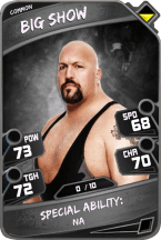 BigShow - Common