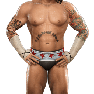 SvR2009 Render CMPunk