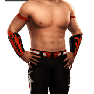 SvR2009 Render EvanBourne