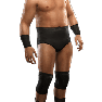 SvR2009 Render Festus