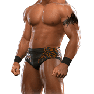 SvR2009 Render RandyOrton