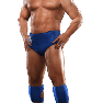 SvR2009 Render RicFlair