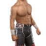 SvR2009 Render ShawnMichaels