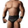SvR2009 Render Snitsky