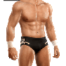 SvR2009 Render TedDiBiase