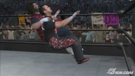 SvR2008 Mick Foley 04