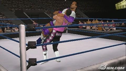 SvR2008 PSP Jim Neidhart 10