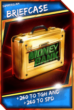 SuperCard Support Briefcase R10 SummerSlam