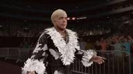 WWE2K17 Ric Flair