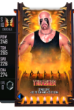 Supercard thrasher s10 crucible 216