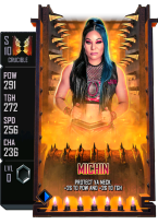 supercard michin s10 crucible