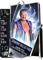 supercard ddp s11 dual