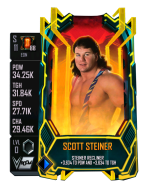 supercard scottsteiner s11 eon