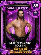 1 premium dangerzone cashincollective collectionset 2 sethfreakinrollins