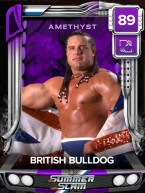 1 premium facepaintfrenzy summerslam collectionset 2 britishbulldog