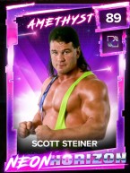 1 premium neonhorizon collectionset scottsteiner