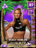 1 premium summerheat collectionset 1 stacykeibler