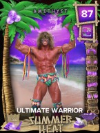 1 premium summerheat collectionset 1 ultimatewarrior