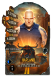 Supercard harland s8 rtwm 216