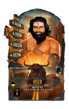 Veer