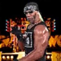 Hollywood Hogan