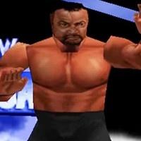 Wcw Nwo Revenge