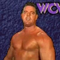 Wcw Nwo Thunder