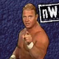 Wcw Nwo Thunder